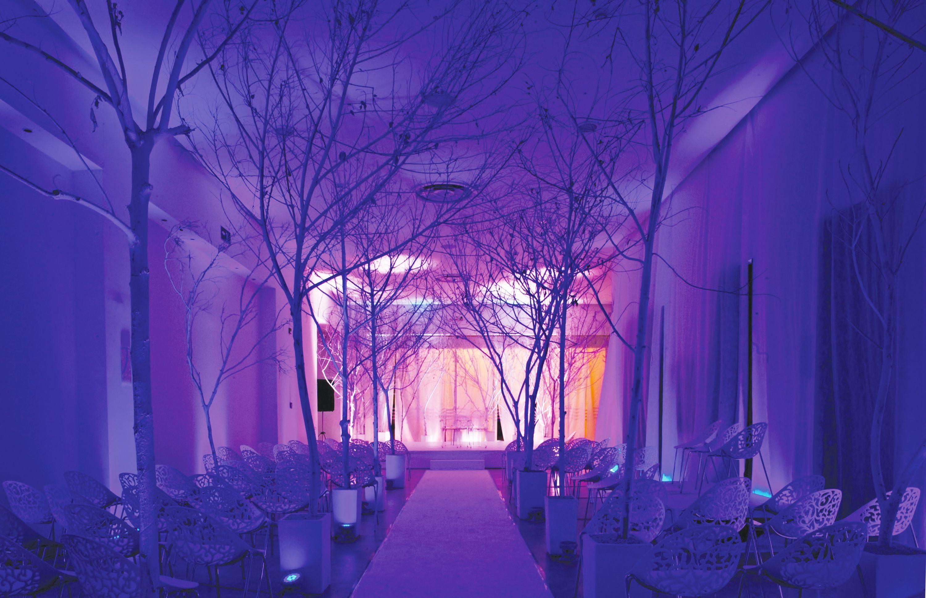 Americas Torre Del Mar